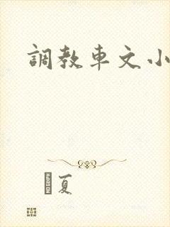 调教车文小说