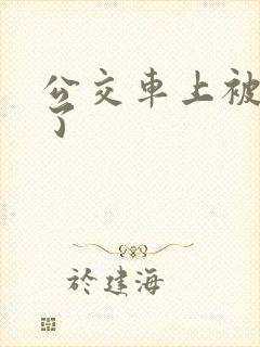 公交车上被摸湿了
