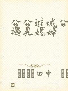 公公进城公交车遇见媳妇