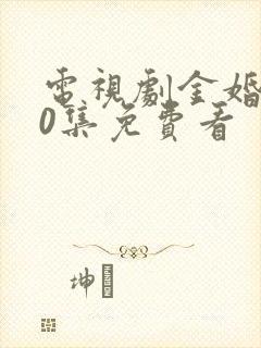 电视剧金婚第50集免费看