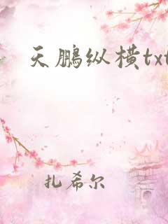天鹏纵横txt
