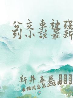 公交车被强d系列小说最新章节