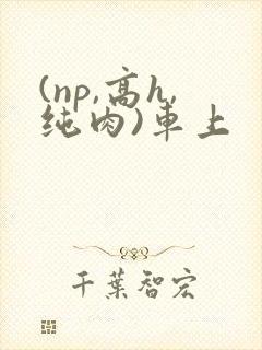 (np,高h,纯肉)车上