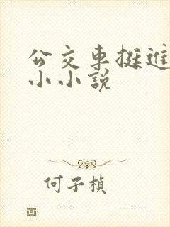 公交车挺进她的小小说