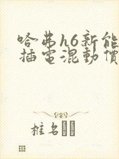 哈弗h6新能源插电混动价格
