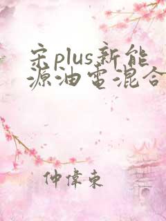 宋plus新能源油电混合七座