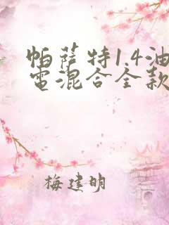 帕萨特1.4油电混合全款价格