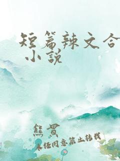 短篇辣文合集. 小说