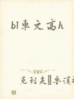bl车文高h