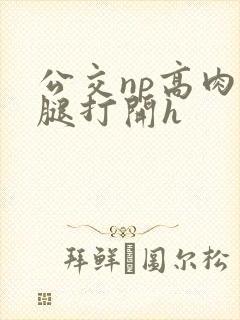 公交np高肉双腿打开h