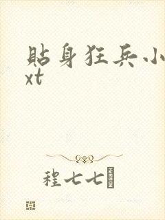 贴身狂兵小说txt