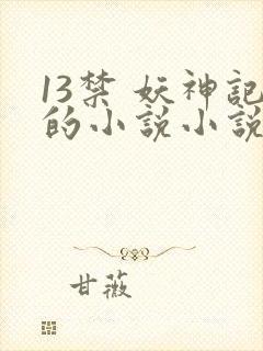 13禁 妖神记的小说小说