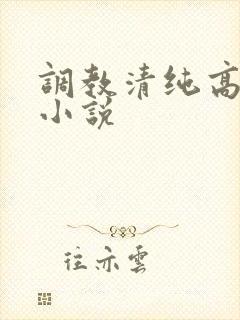调教清纯高中生小说