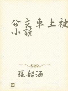 公交车上被揉胸小说