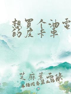 想买个油电混合的皮卡车