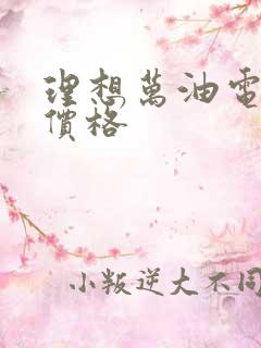 理想万油电混合价格