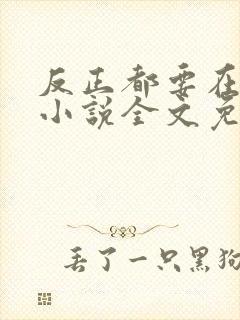 反正都要在一起小说全文免费阅读