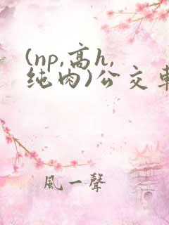 (np,高h,纯肉)公交车