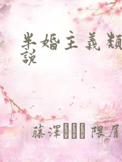 半婚主义类似小说
