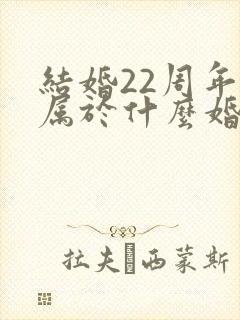 结婚22周年是属于什么婚