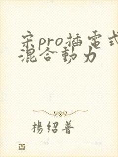 宋pro插电式混合动力