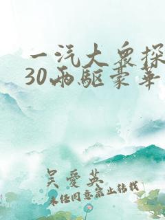 一汽大众探岳330两驱豪华版