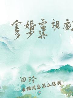 金婚电视剧一共多少集