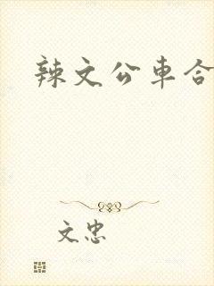 辣文公车合集