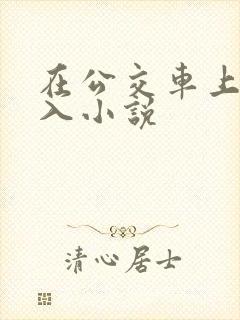在公交车上被插入小说