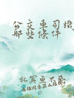 公交车司机需要哪些条件