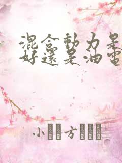 混合动力是插电好还是油电混合好