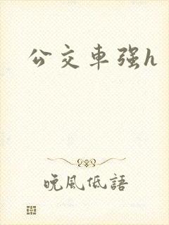 公交车强h