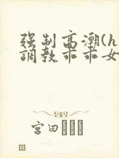 强制高潮(h)调教乖乖女小说