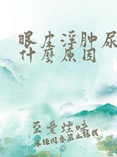 眼皮浮肿尿少是什么原因