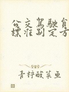 公交驾驶员工资标准制定方案