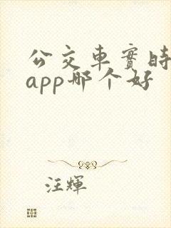 公交车实时到站app哪个好