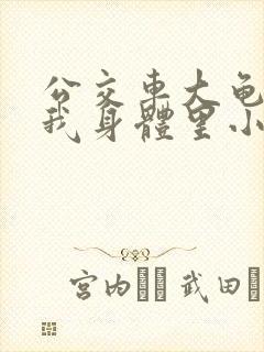 公交车大龟廷进我身体里小说内容