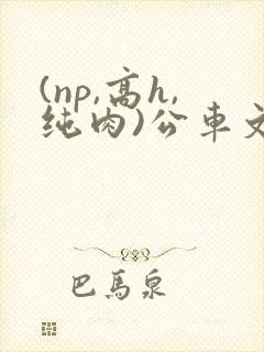 (np,高h,纯肉)公车文