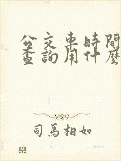 公交车时间实时查询用什么软件