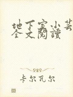 地下室小芸父亲全文阅读