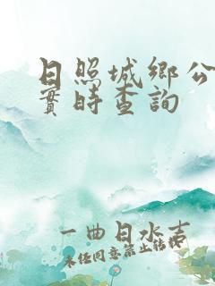 日照城乡公交车实时查询