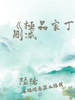 《极品家丁》无删减