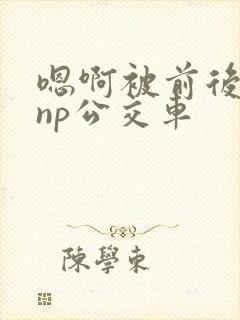 嗯啊被前后夹击np公交车