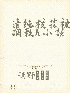 清纯校花被地狱调教h小说
