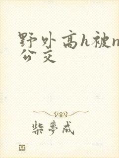 野外高h被np公交