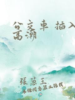 公交车 插入 高潮