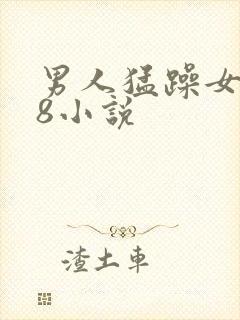 男人猛躁女人18小说