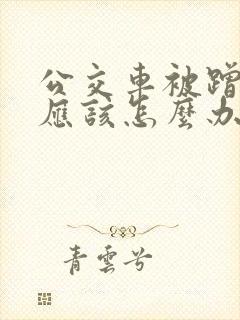 公交车被蹭了我应该怎么办