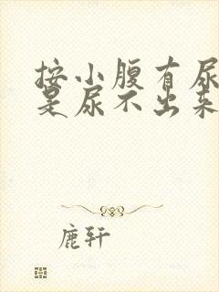 按小腹有尿意但是尿不出来