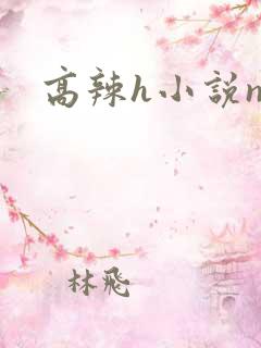 高辣h小说np